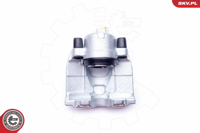 Brake Caliper 42SKV052