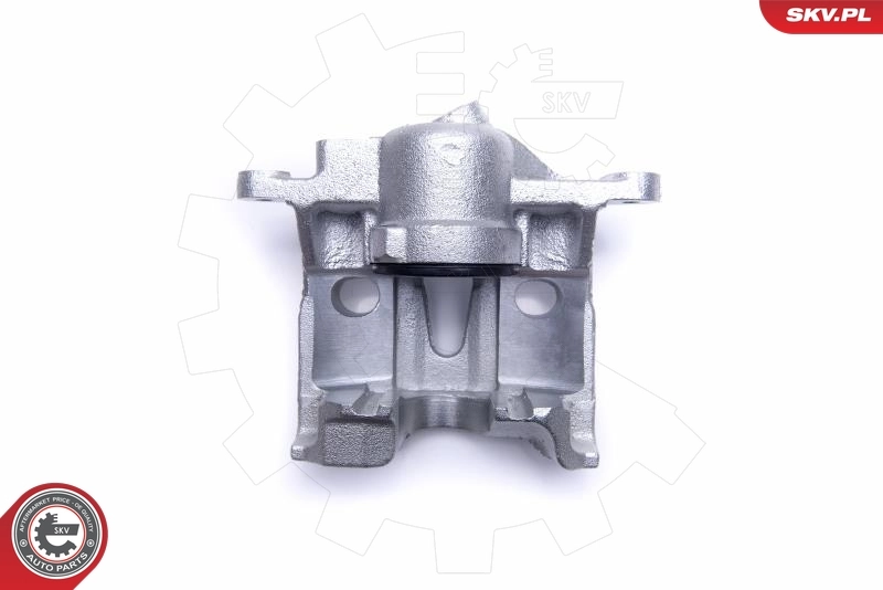 Brake Caliper 50SKV971