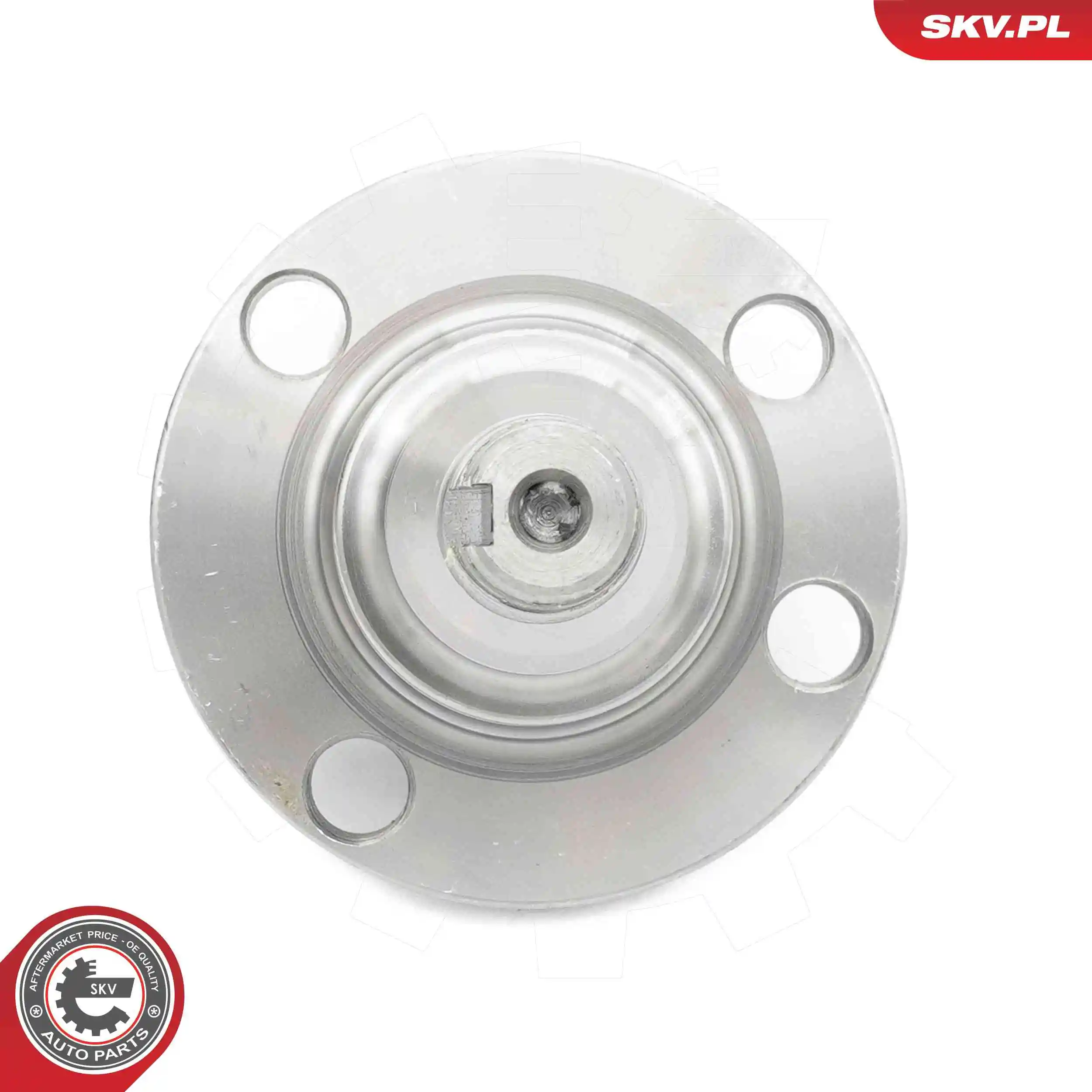 Stub Axle, axle beam 29SKV639