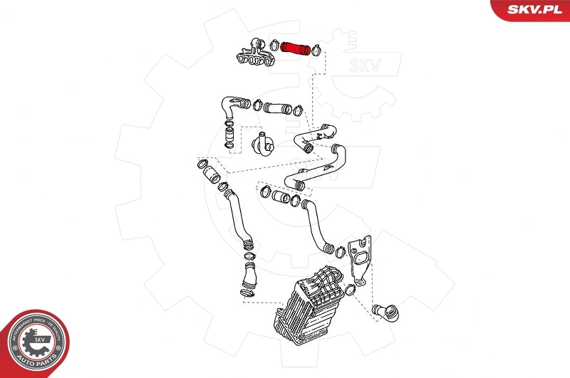 Charge Air Hose 43SKV078