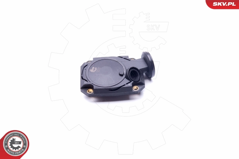 Valve, crankcase ventilation 31SKV073