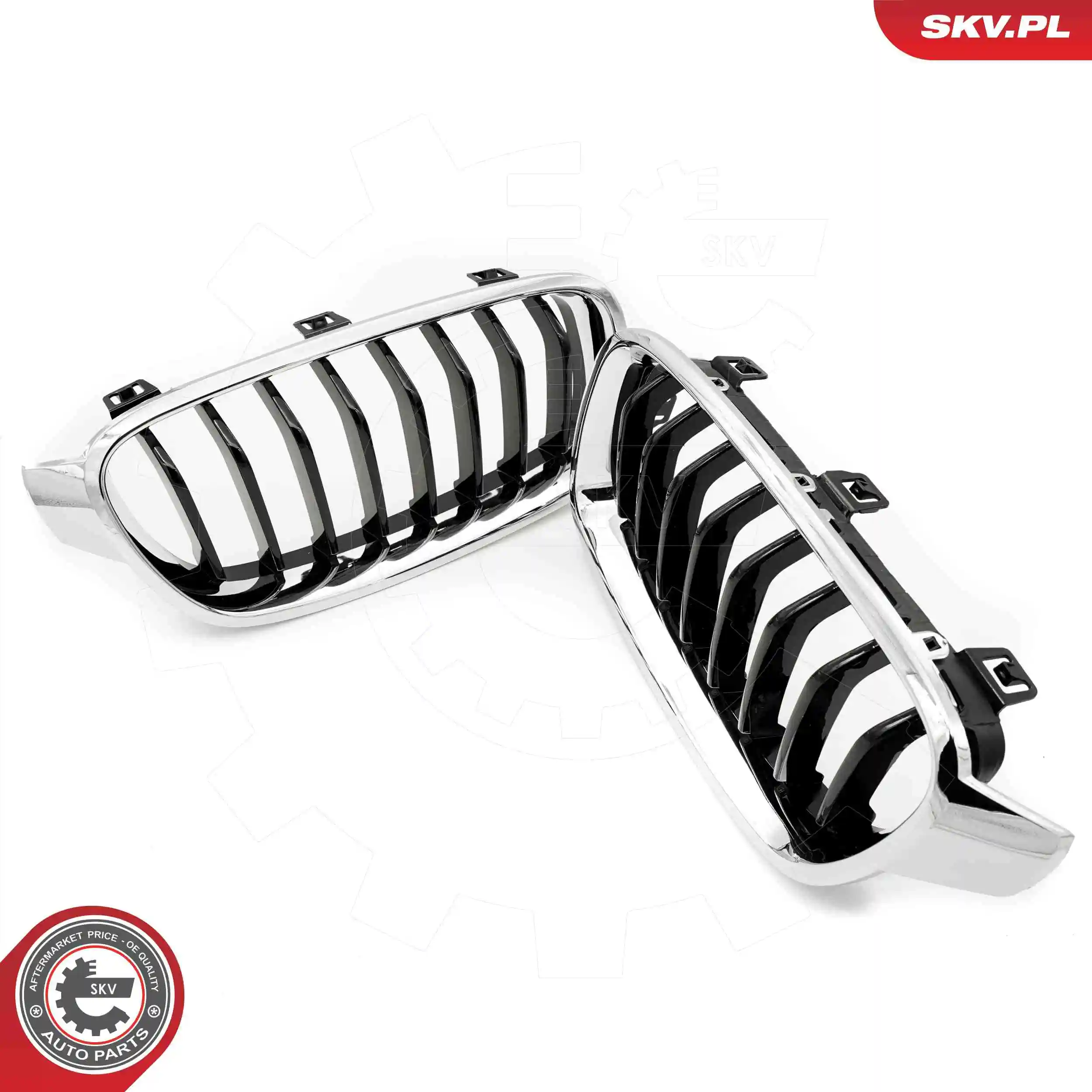 Radiator Grille 66SKV122