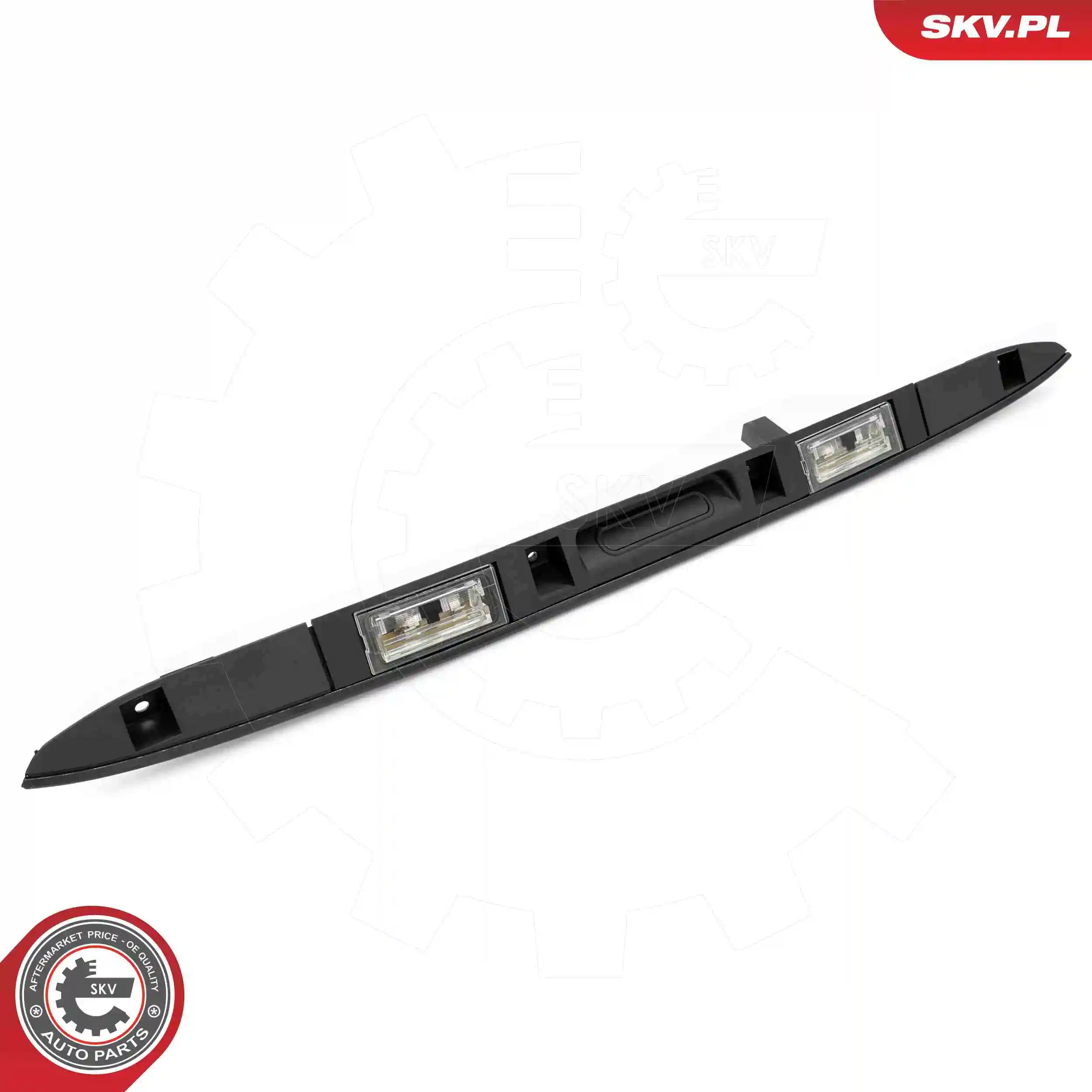 ESEN SKV 96SKV248 Tailgate Handle