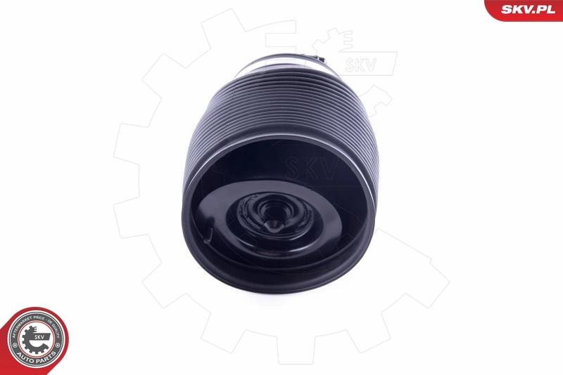 Air Spring, suspension 58SKV010