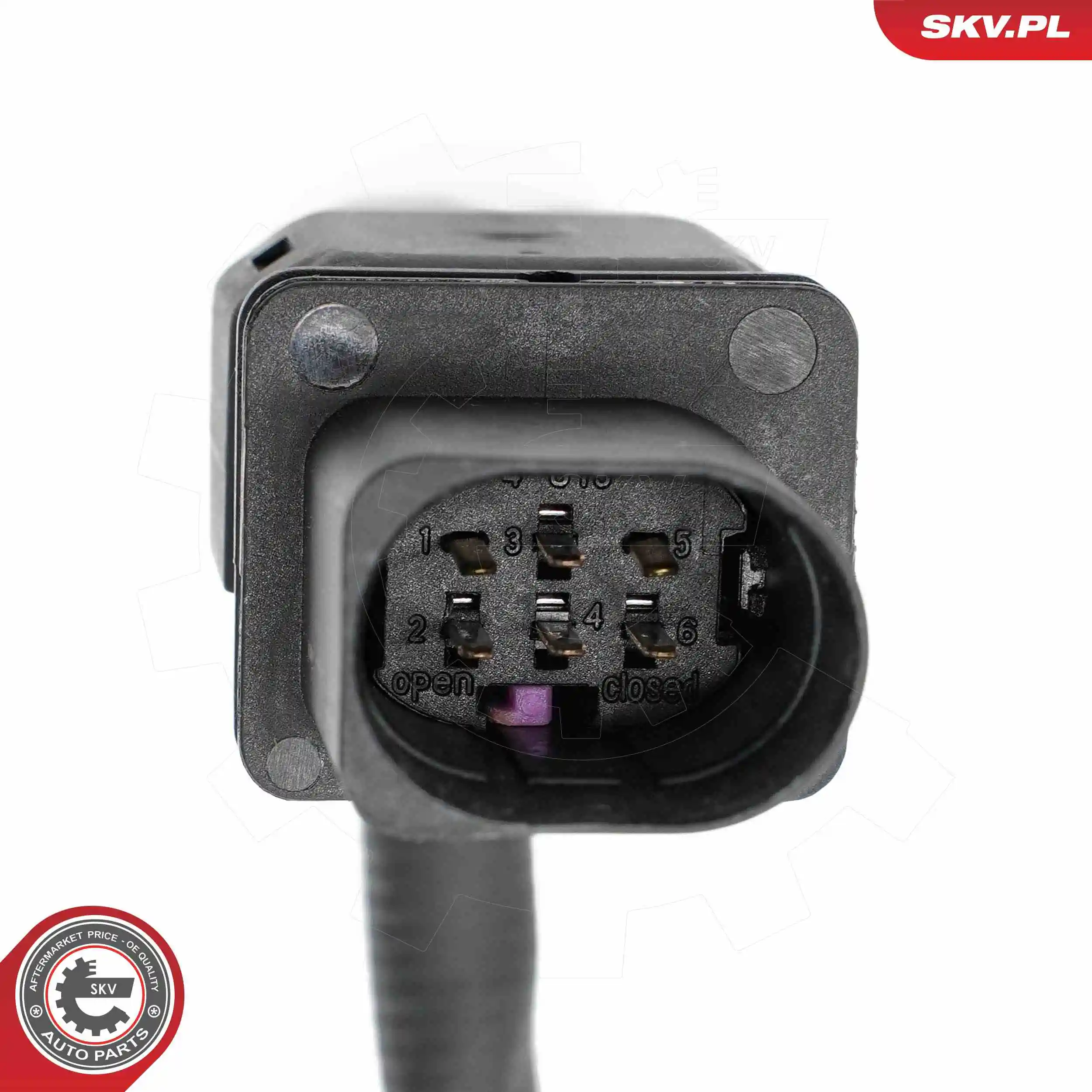 Oxygen Sensor 09SKV198