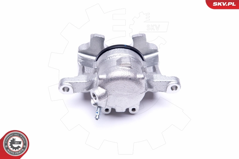 Brake Caliper 50SKV281