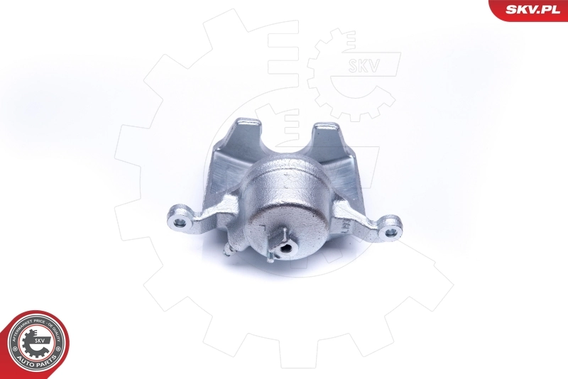 Brake Caliper 42SKV201
