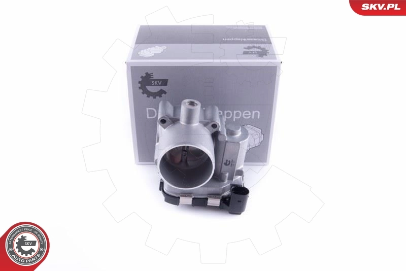 Throttle Body 12SKV087
