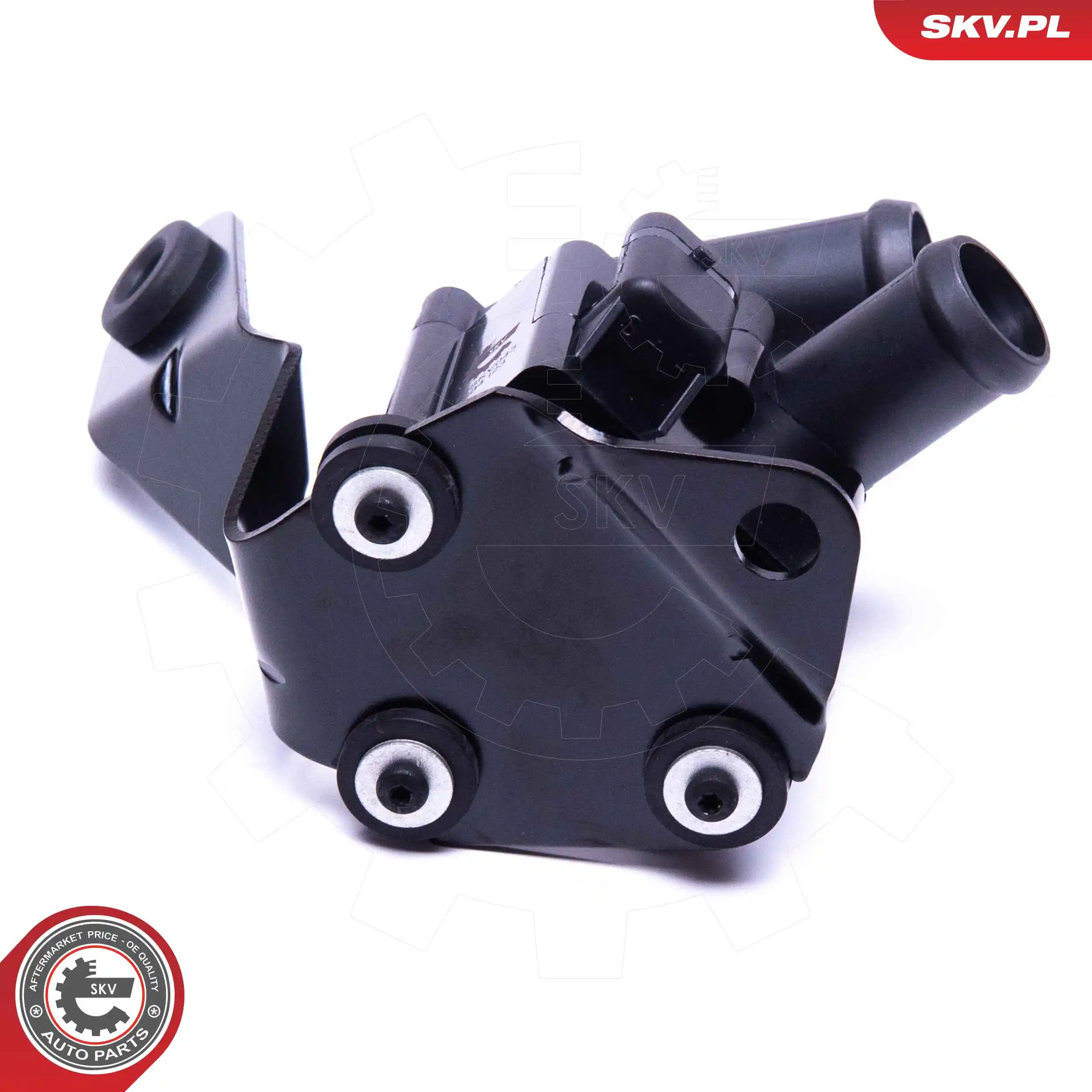 Auxiliary Water Pump (cooling water circuit) 22SKV043