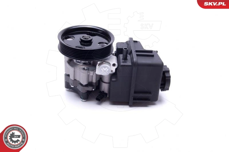 Hydraulic Pump, steering 10SKV307