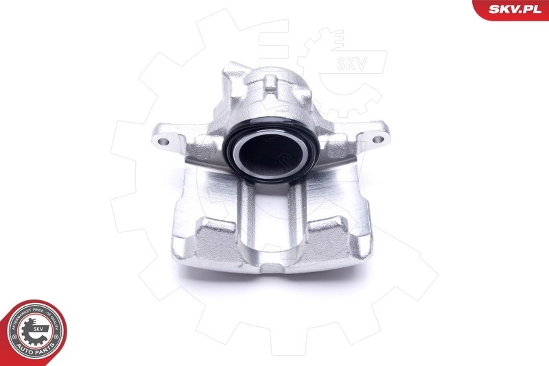 Brake Caliper 46SKV001