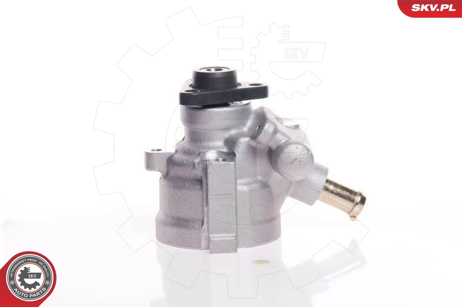 Hydraulic Pump, steering 10SKV007