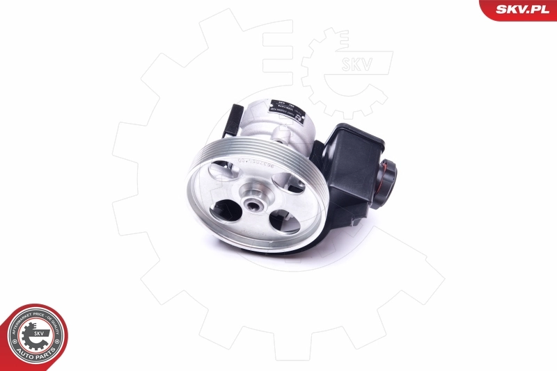 Hydraulic Pump, steering 10SKV079