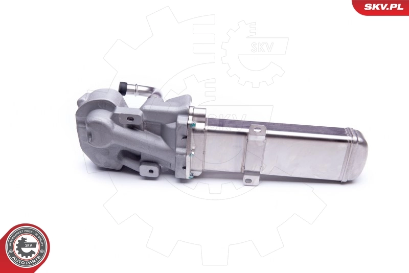 EGR Valve 14SKV137