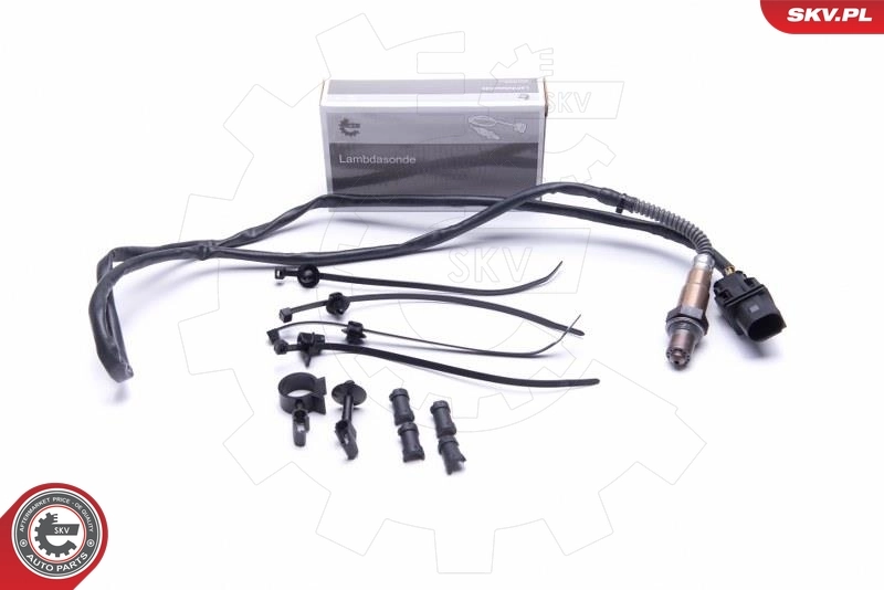 Oxygen Sensor 09SKV419