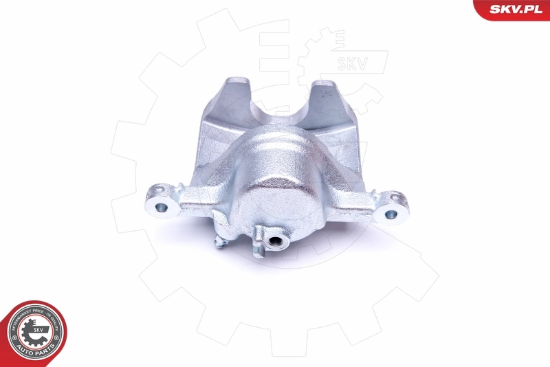 Brake Caliper 42SKV692
