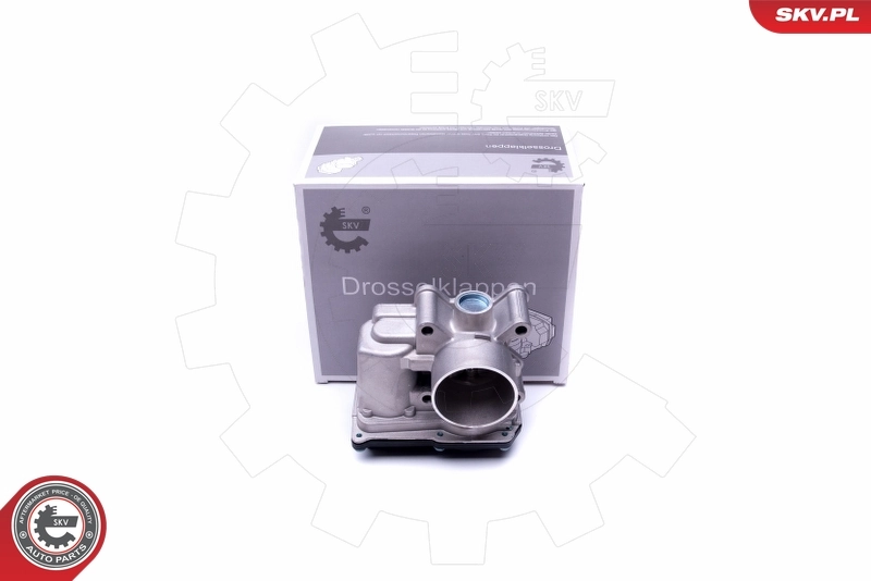 Throttle Body 12SKV076
