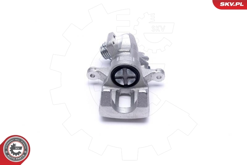 Brake Caliper 50SKV063