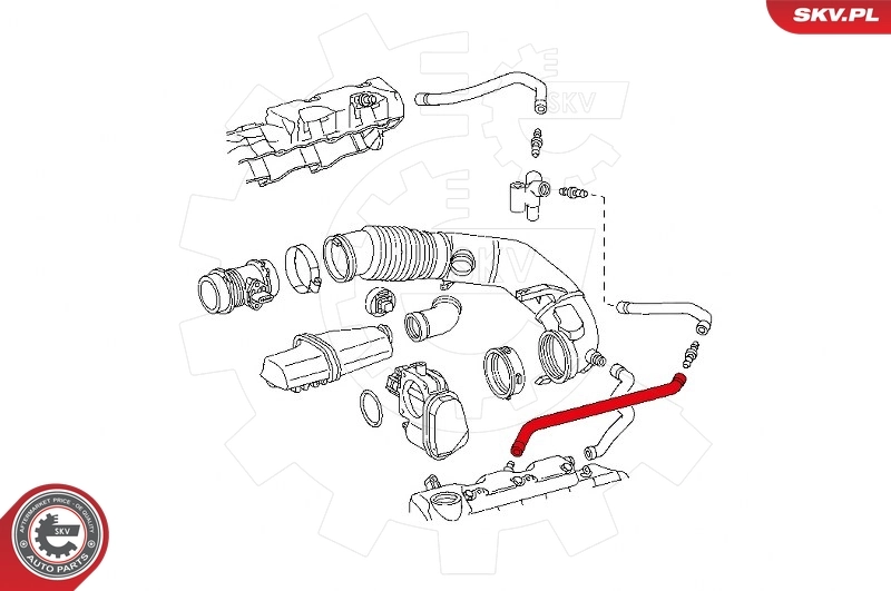 Hose, crankcase ventilation 31SKV119