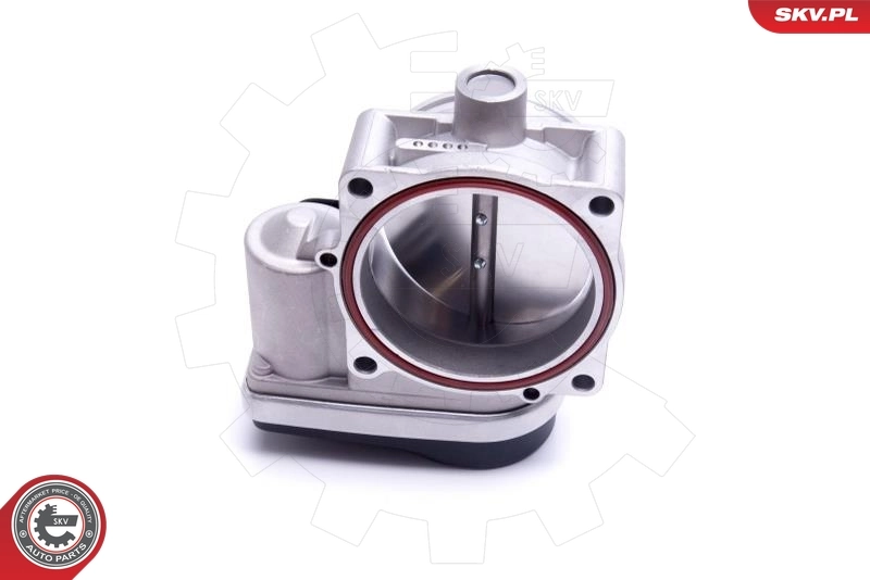 Throttle Body 12SKV123