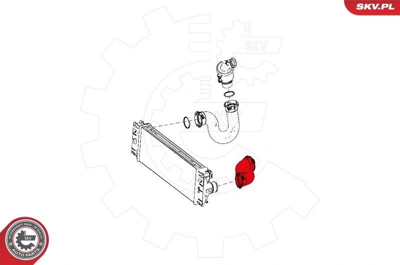 Charge Air Hose 24SKV823