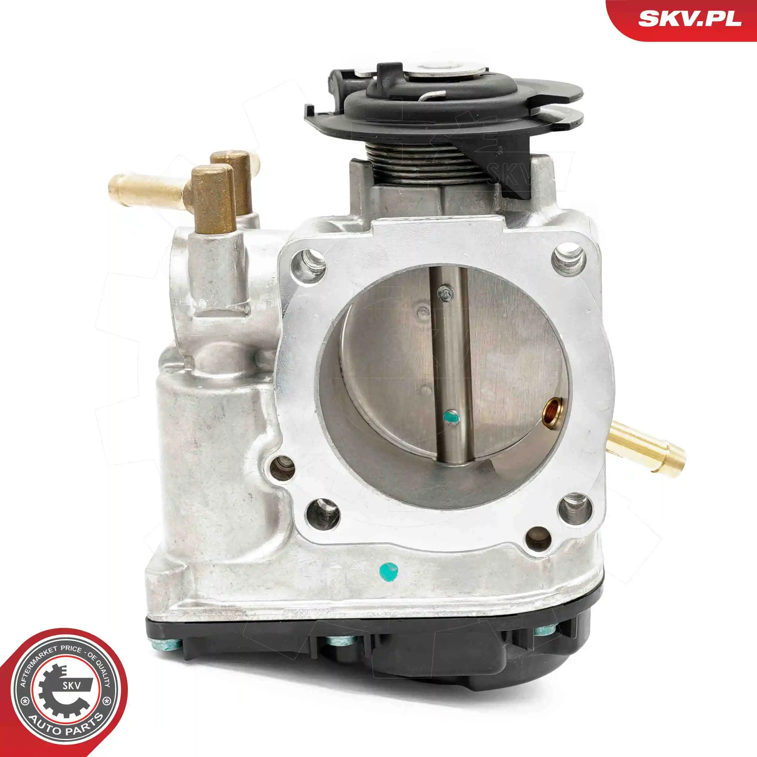 ESEN SKV 12SKV017 Throttle Body