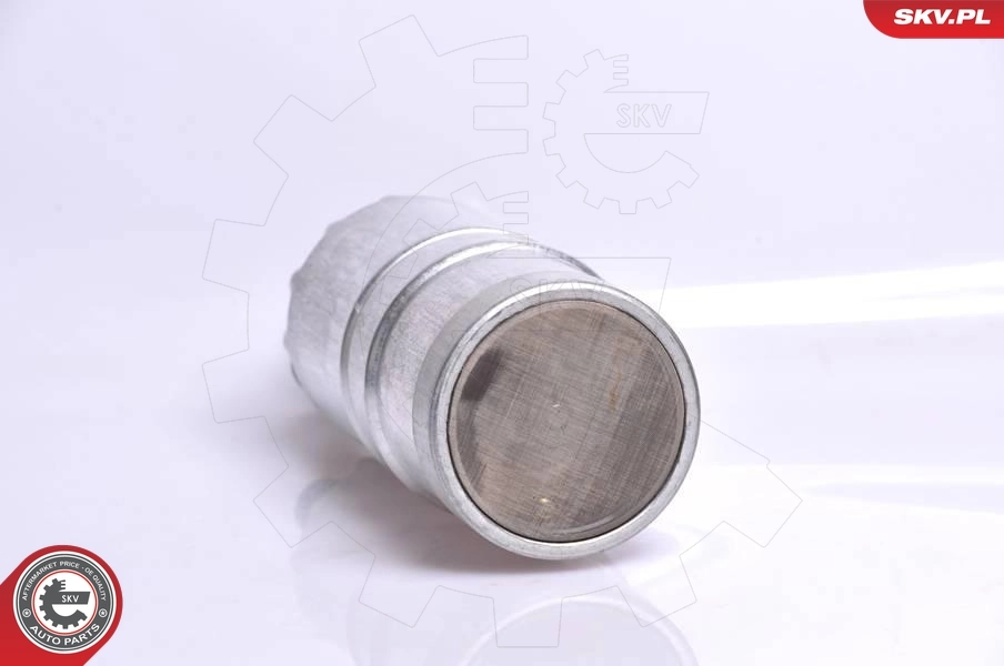 ESEN SKV 02SKV240 Fuel Pump