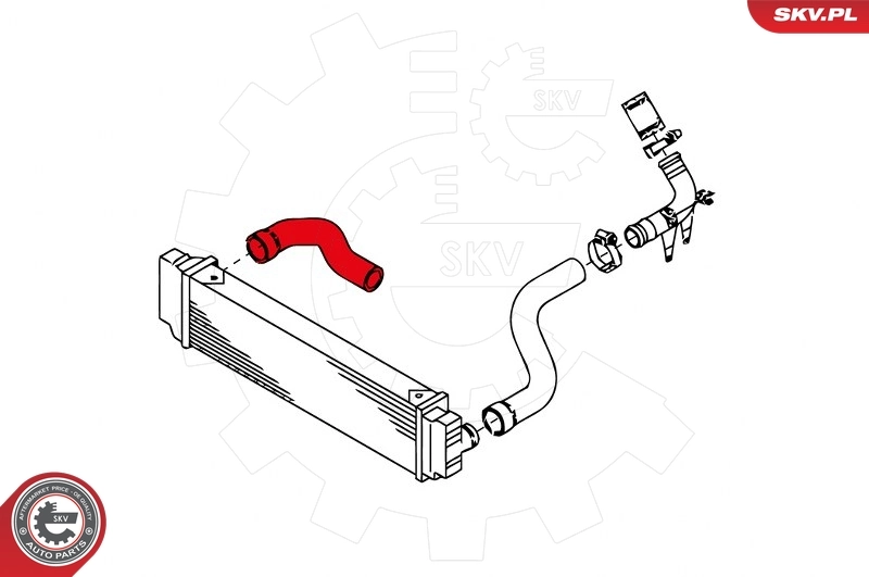 Charge Air Hose 43SKV012
