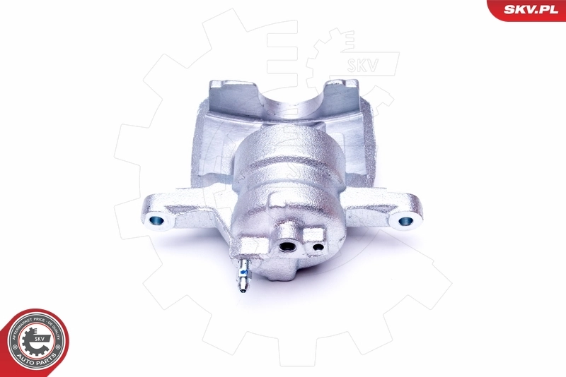 Brake Caliper 44SKV002