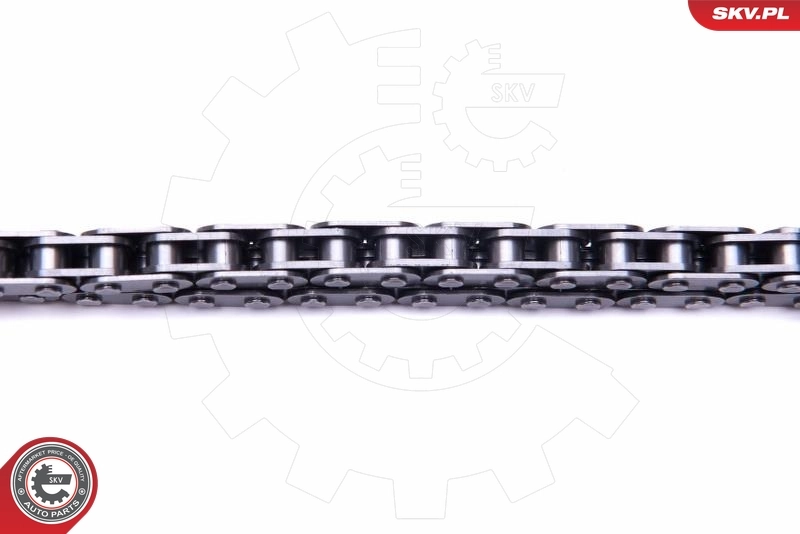 ESEN SKV 21SKV100 Chain Kit, oil pump drive
