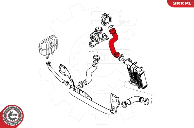Charge Air Hose 24SKV108