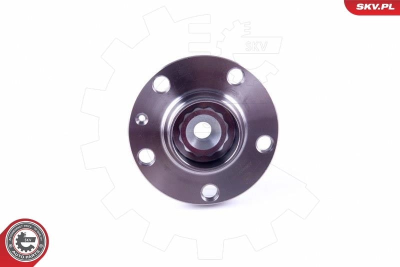Wheel Bearing Kit 29SKV299