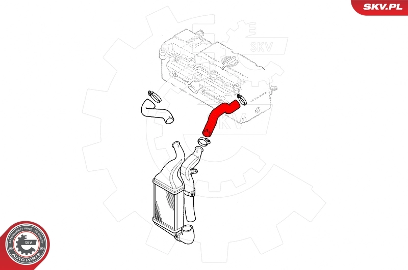 Charge Air Hose 43SKV201