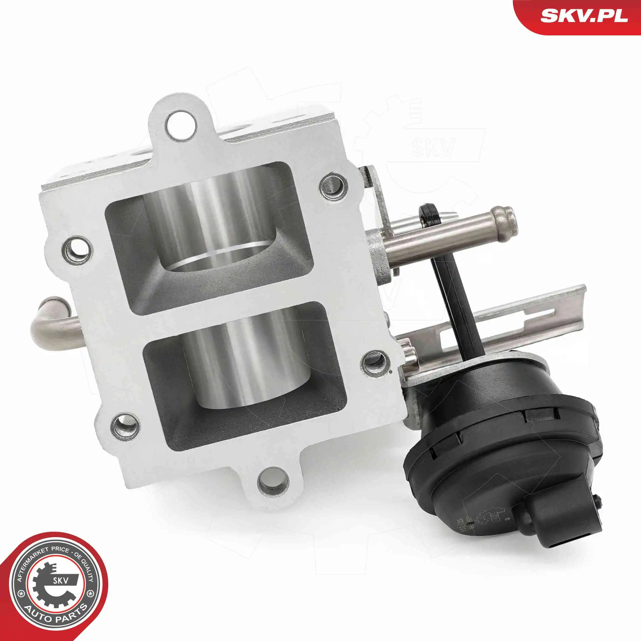 ESEN SKV 14SKV290 EGR Valve