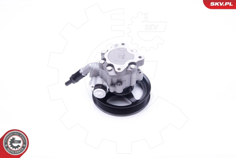 Hydraulic Pump, steering 10SKV266