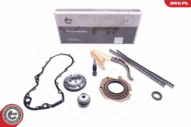 Timing Chain Kit 21SKV114