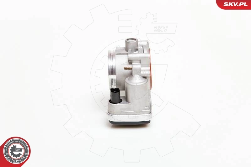Throttle Body 12SKV040