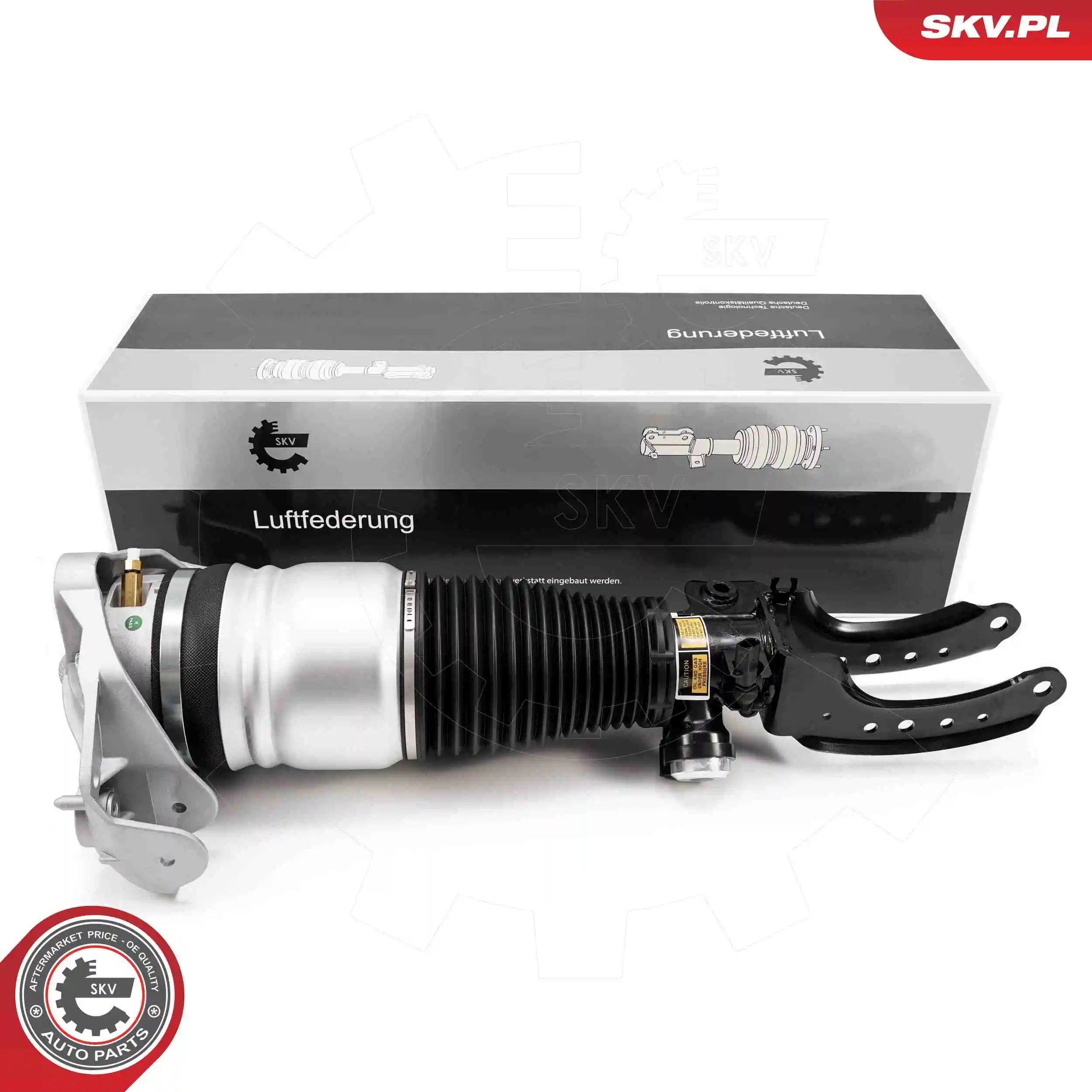 Air Suspension Strut 58SKV704