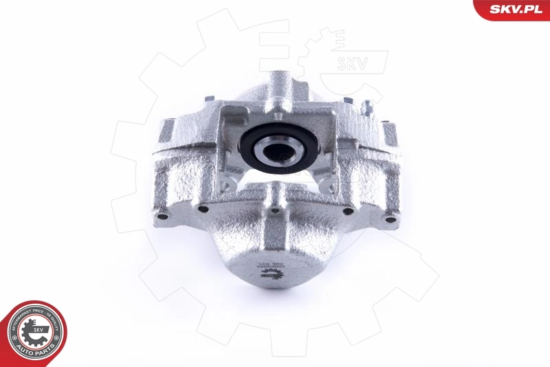 ESEN SKV 55SKV224 Brake Caliper