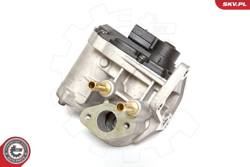 EGR Valve 14SKV086