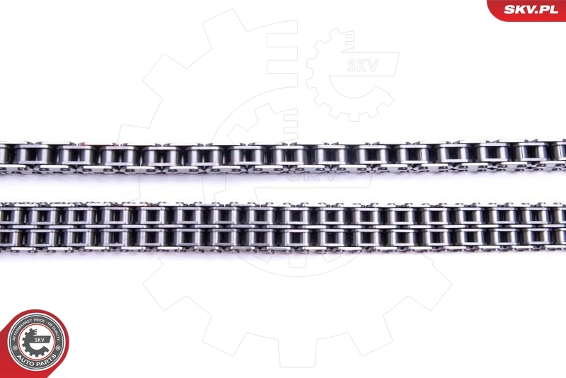 Timing Chain Kit 21SKV203