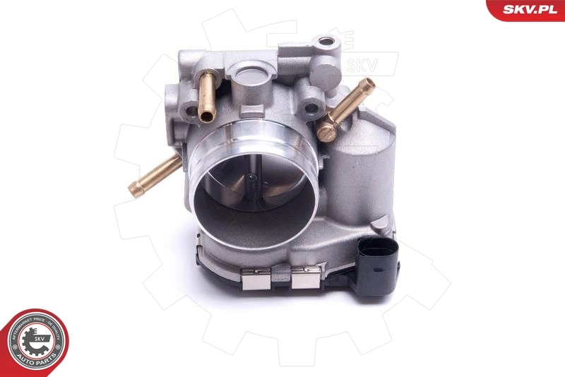 Throttle Body 12SKV114