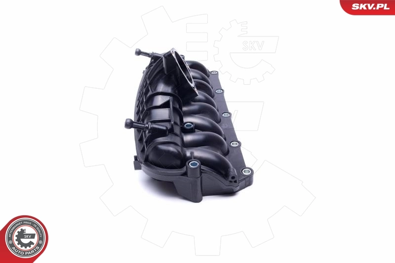 Intake Manifold Module 49SKV066