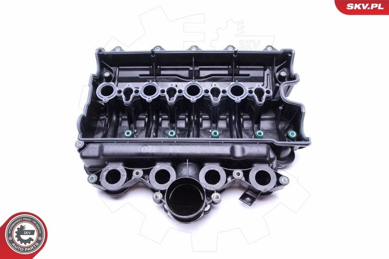 Intake Manifold Module 49SKV021