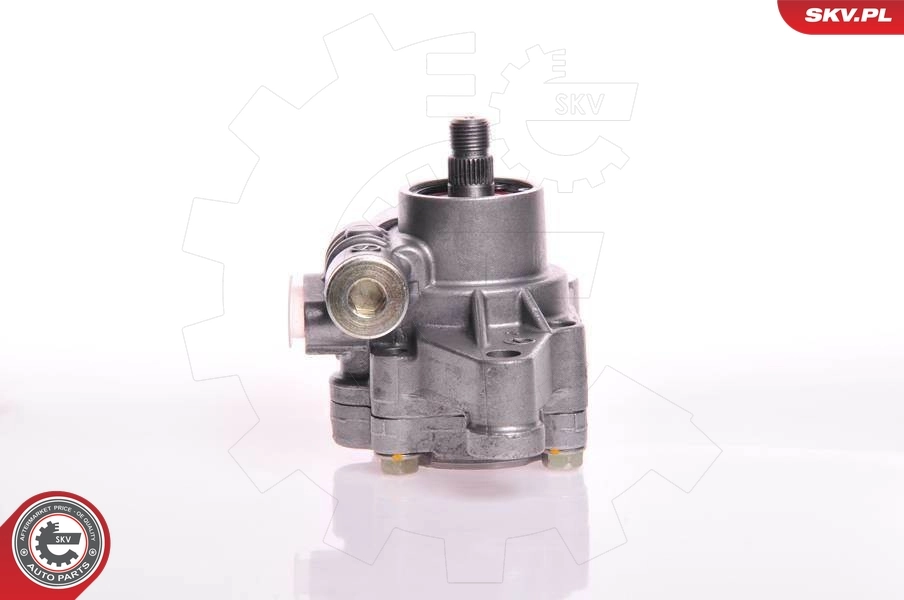 Hydraulic Pump, steering 10SKV103