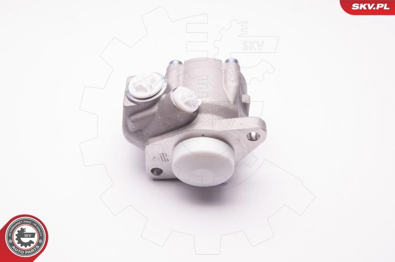 Hydraulic Pump, steering 1SKV0006