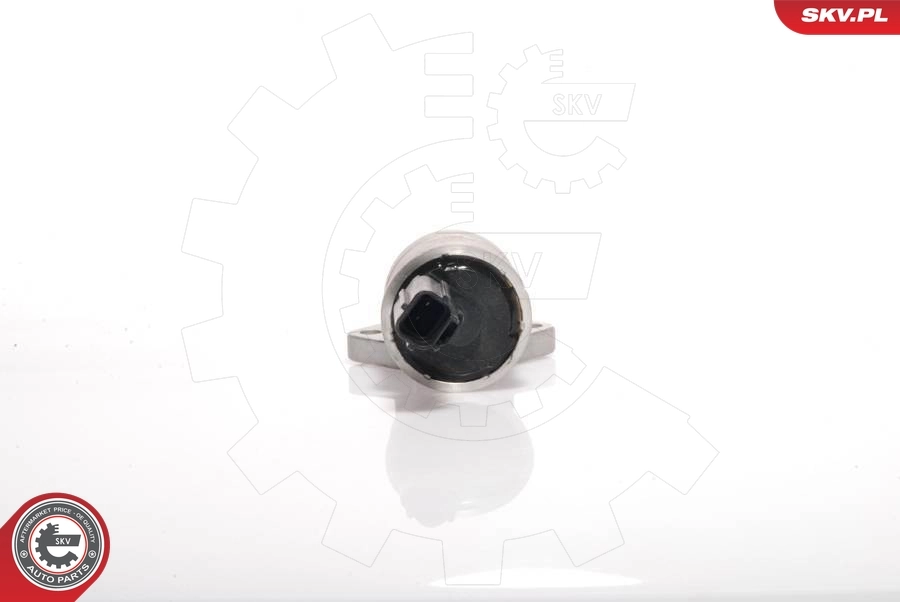 Idle Control Valve, air supply 08SKV233