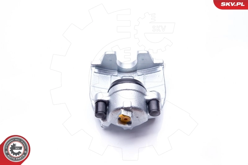 Brake Caliper 42SKV052