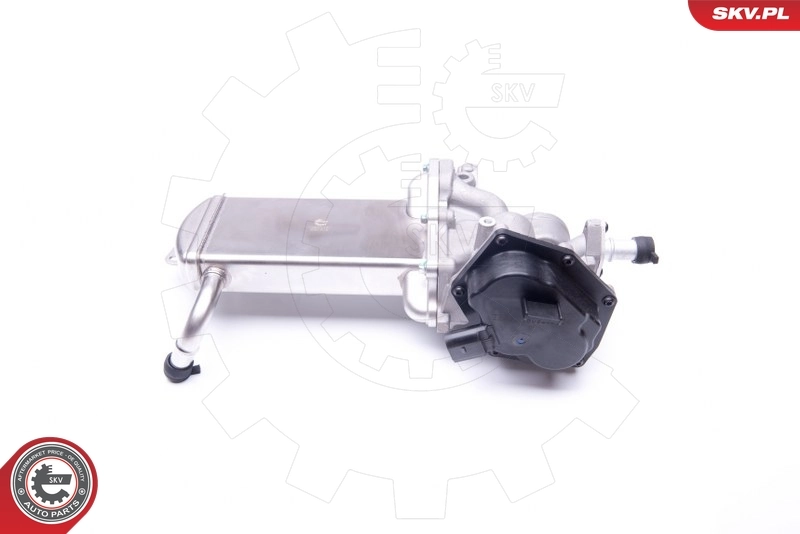 EGR Valve 14SKV151