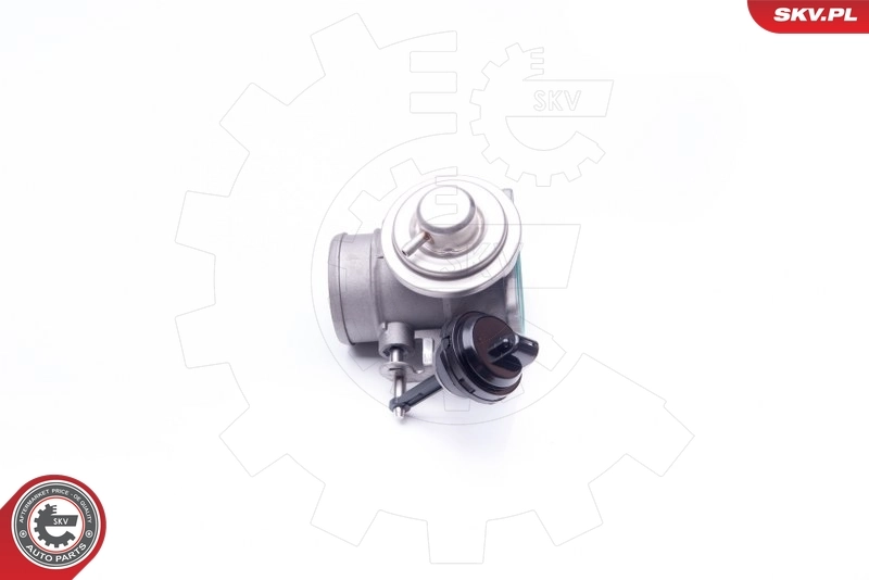 EGR Valve 14SKV106